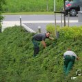 IMG_1043430