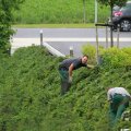 IMG_1043431