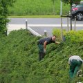 IMG_1043432