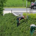 IMG_1043433