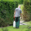 IMG_1043435