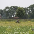 IMG_1043450