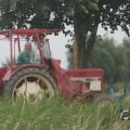 IMG_1043452