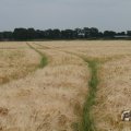 IMG_1043460