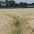 IMG_1043465