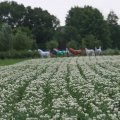 IMG_1043484