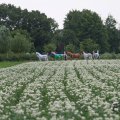 IMG_1043487