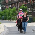 IMG_1043498