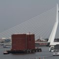 IMG_1049049