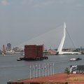 IMG_1049053