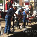 IMG_1050066