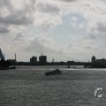 IMG_1054542