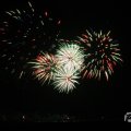 IMG_1055195