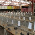 IMG_1055308