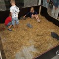 IMG_1055320