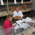 IMG_1055324