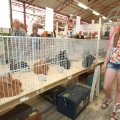 IMG_1055332