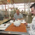 IMG_1055336