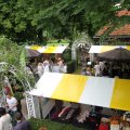 IMG_1055666