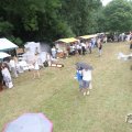 IMG_1055771