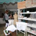 IMG_1055791