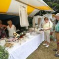 IMG_1055842
