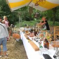 IMG_1055848