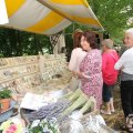 IMG_1055855
