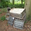 IMG_1055859