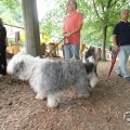IMG_1055866