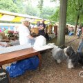 IMG_1055867