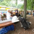 IMG_1055868