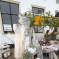 IMG_1055886