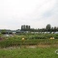 IMG_1055349