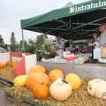 IMG_1055368