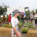 IMG_1055462