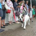 IMG_1055525