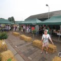 IMG_1055542