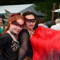 Kasteelfair2013_Edwin056