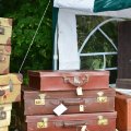 Kasteelfair2013_Edwin061