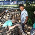 IMG_1057227