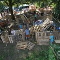 IMG_1057313