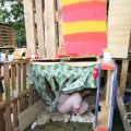 IMG_1057470