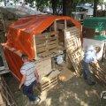 IMG_1057584