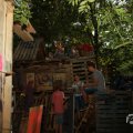 IMG_1058447