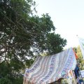 IMG_1058498