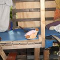 IMG_1058503