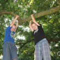 IMG_1058513