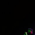IMG_1060135