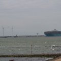 IMG_1072434